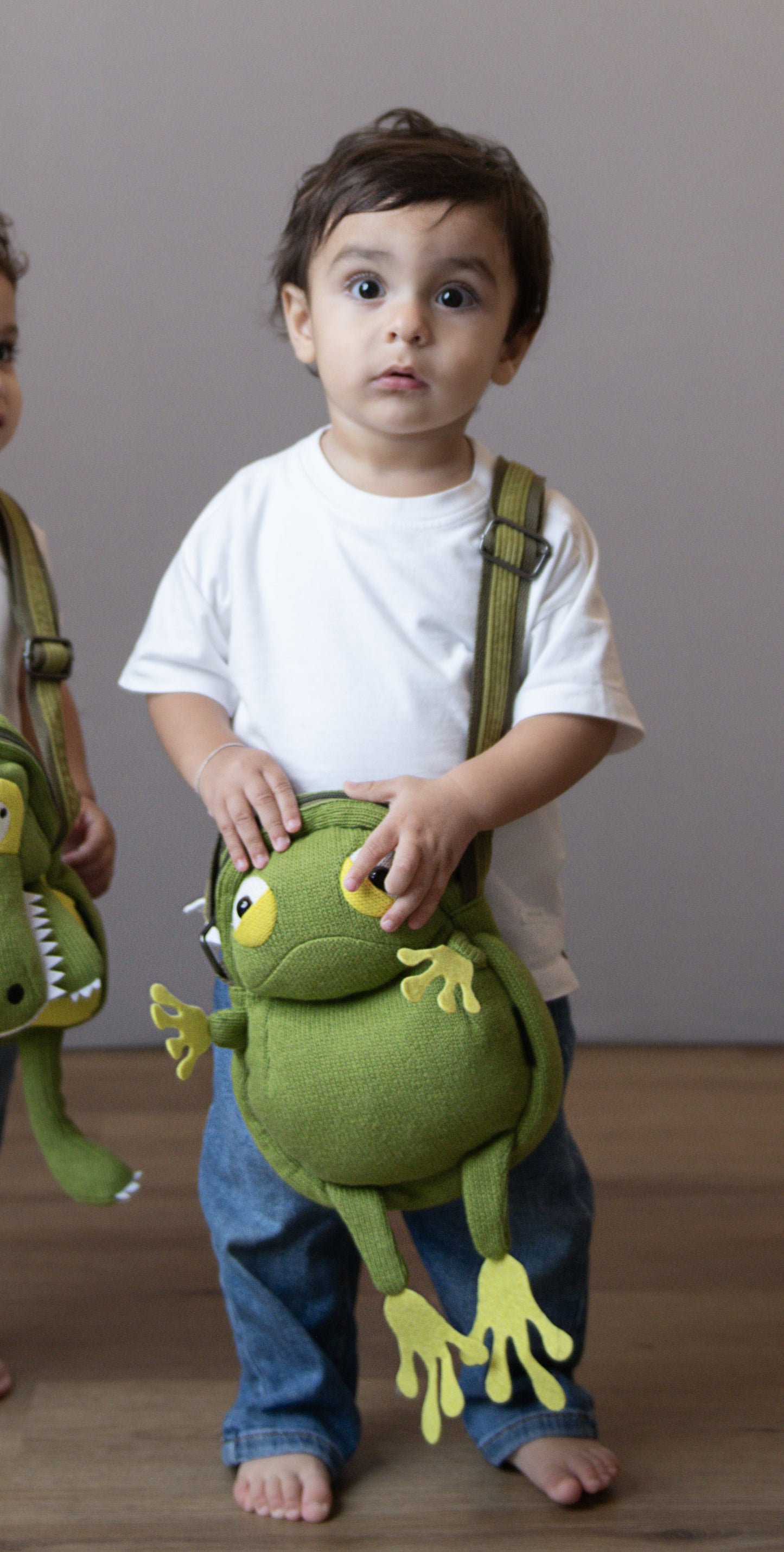 Stylish Frog Crossbag