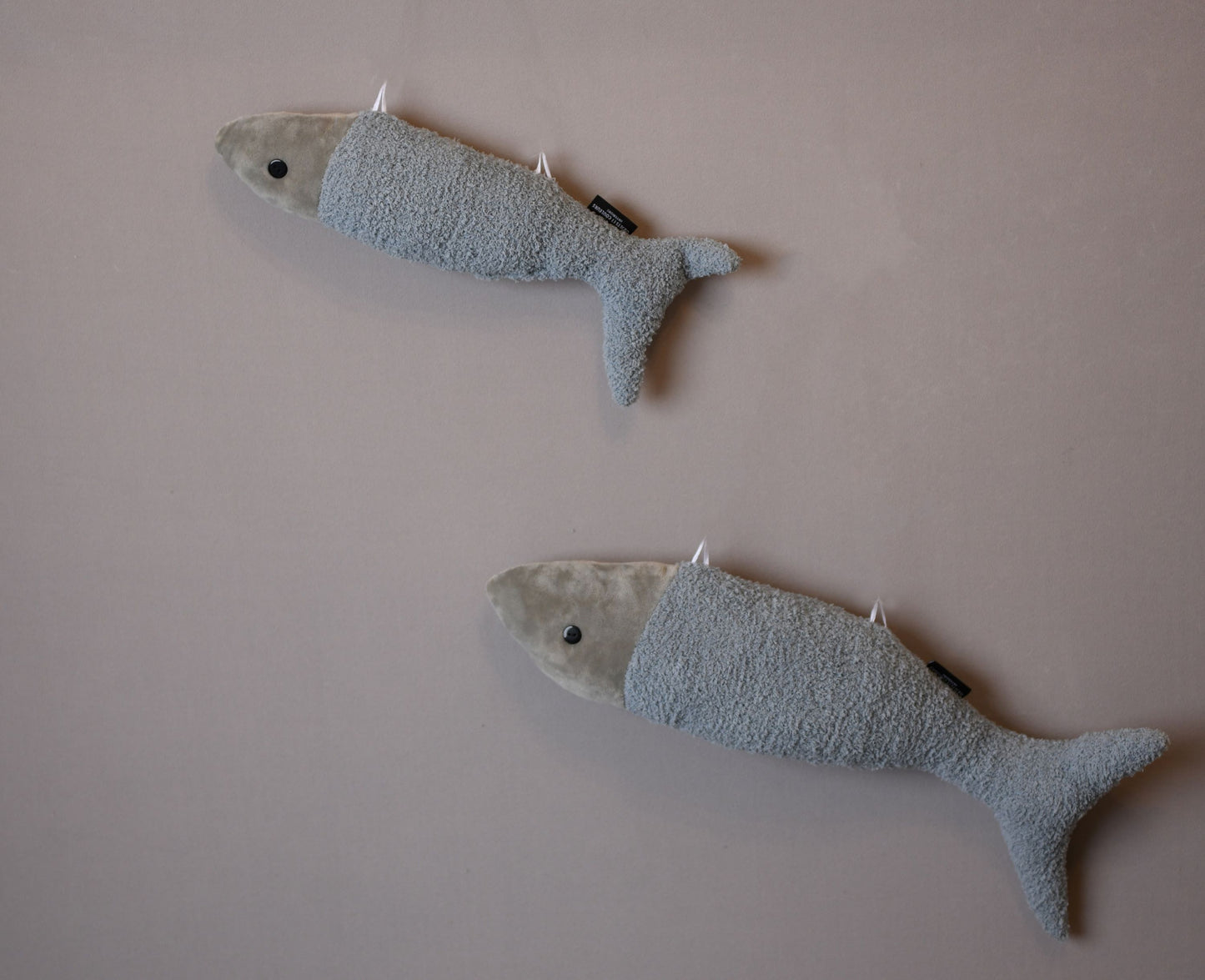 Bubbly Fish