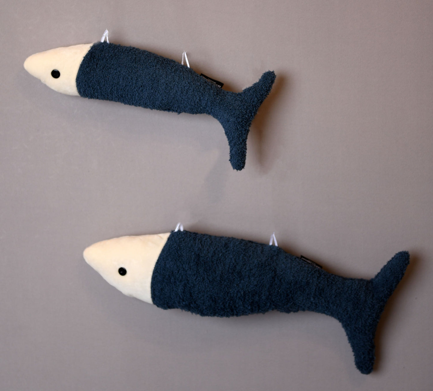 Bubbly Fish