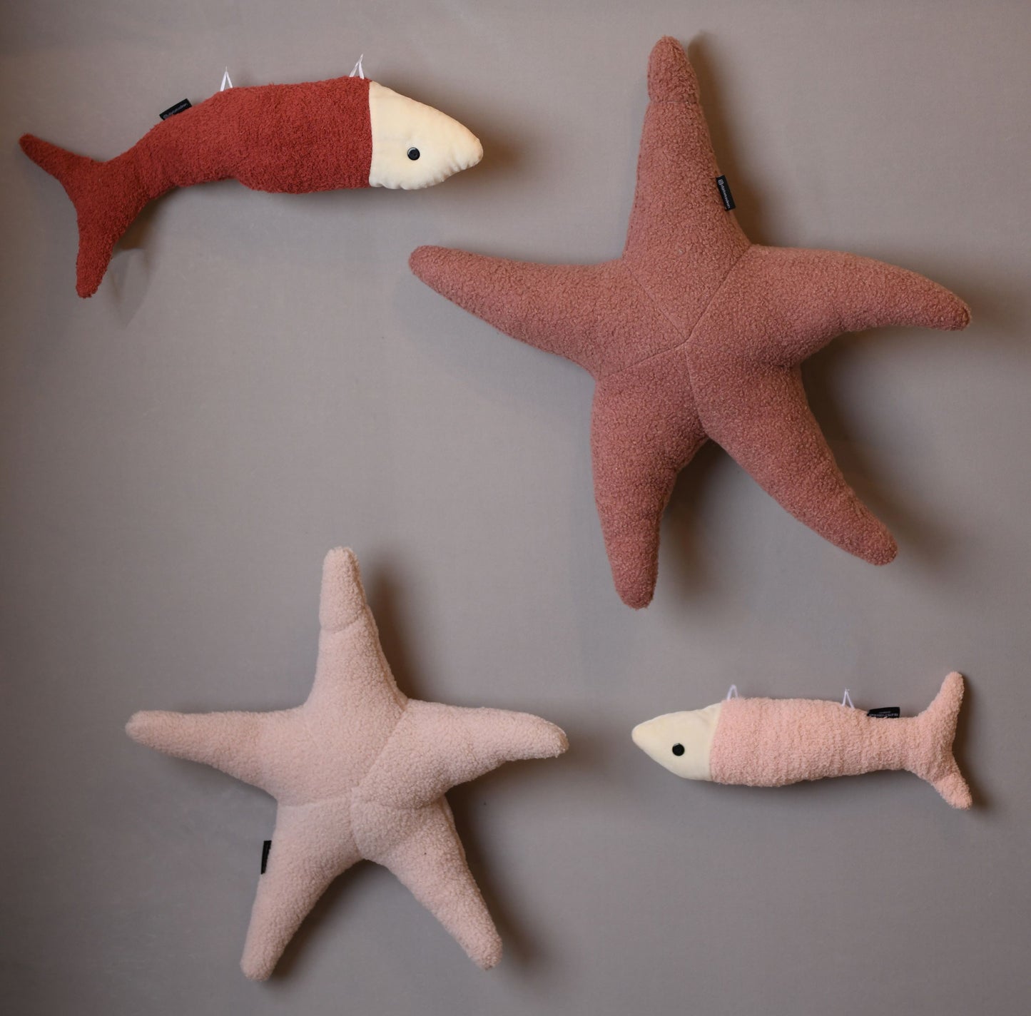 Blush Sea Stars