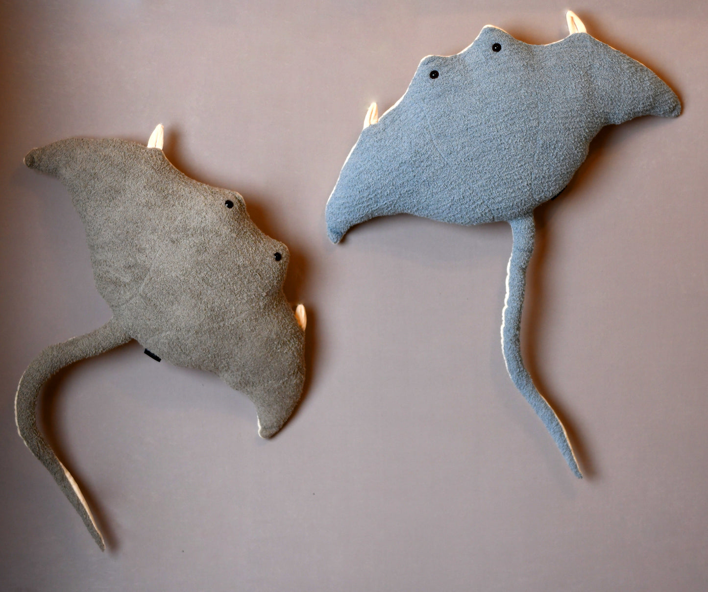 Cuddly Skates