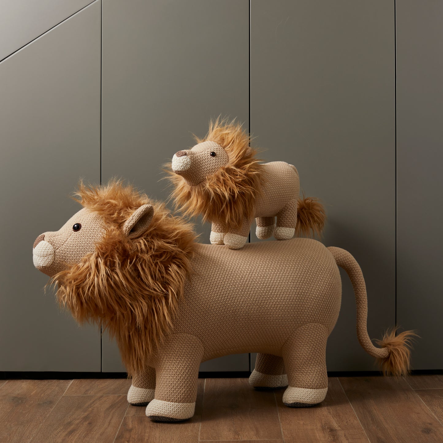 Jungle Lion