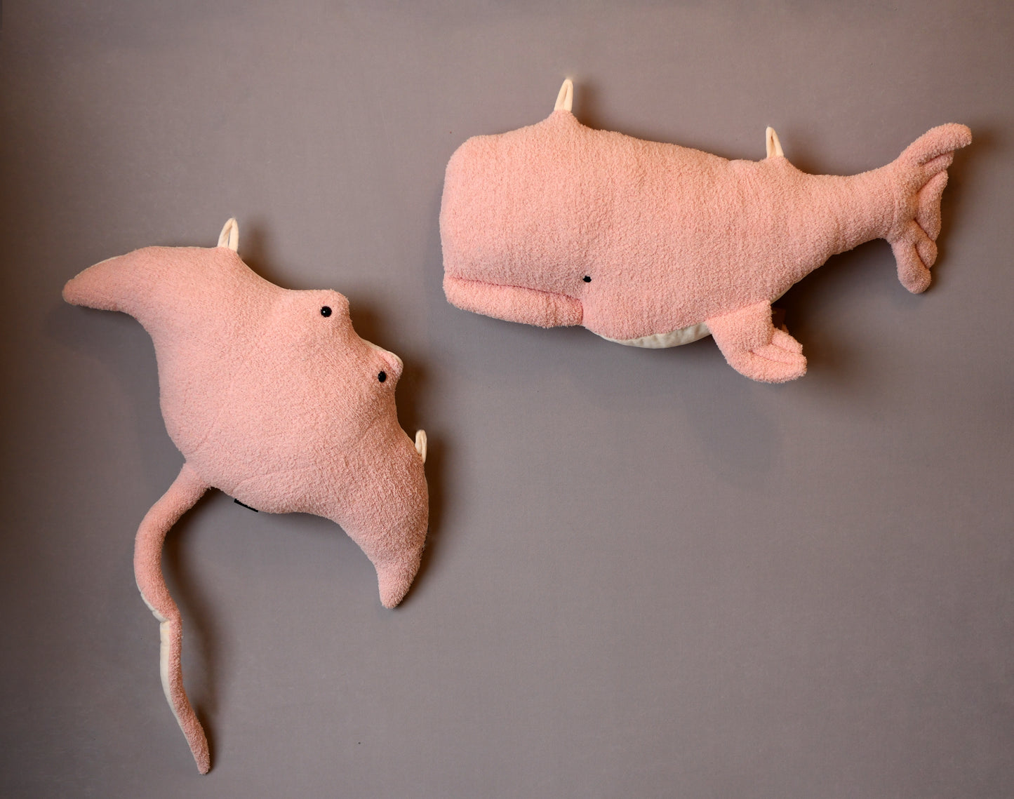 Snuggly Sea Creatures